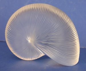 1890 14KT Waltham Hunter pocket watch