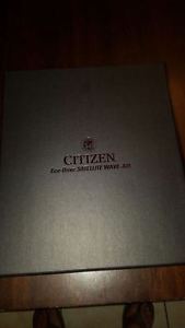 BNIB Genuine Citizen Men's CC105553E Satellite Wave Air Titanium Eco-Drive