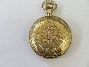 Waltham Multi Color  Pocket Watch