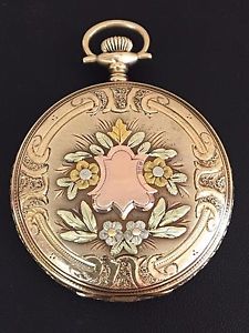 14kt Tri Color Illinois Pocket Watch with Stag Case C: 1920