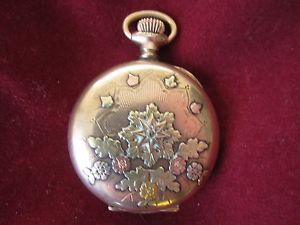 Elgin 1904 Ladies pocket watch w/ Tri-color gold & diamond hunter case, 15 jewel