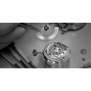 ERWIN SATTLER MONTRE REGULATEUR CLASSIQUE SECUNDA 44MM AUTOMATIQUE ACIER OR