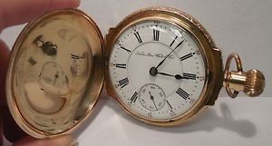 Hamilton-18 Size-21J-Multi-Color 14K Gold Case w/ Buck-Box Hinge-Pocket Watch