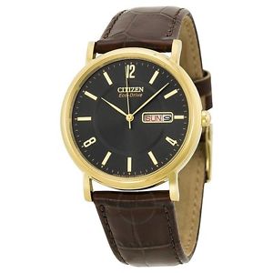 Citizen Eco-drive Brown Leather Strap ( 1 day Delivery )