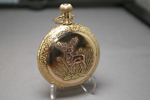 1895 "OUR SPECIAL" (1-STAR) by ILLINOIS PW 17J, (Rare), 18s,MUTLI-COLOR HC,RUNS