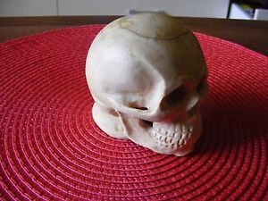 MUSEUM   Doctors Skull Memento Mori pocket  watch