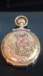 Antique Waltham and Co. 14K gold- double Hunter  Pocket Watch c.1902